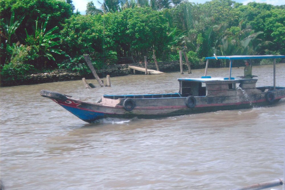 In the Mekong River delta